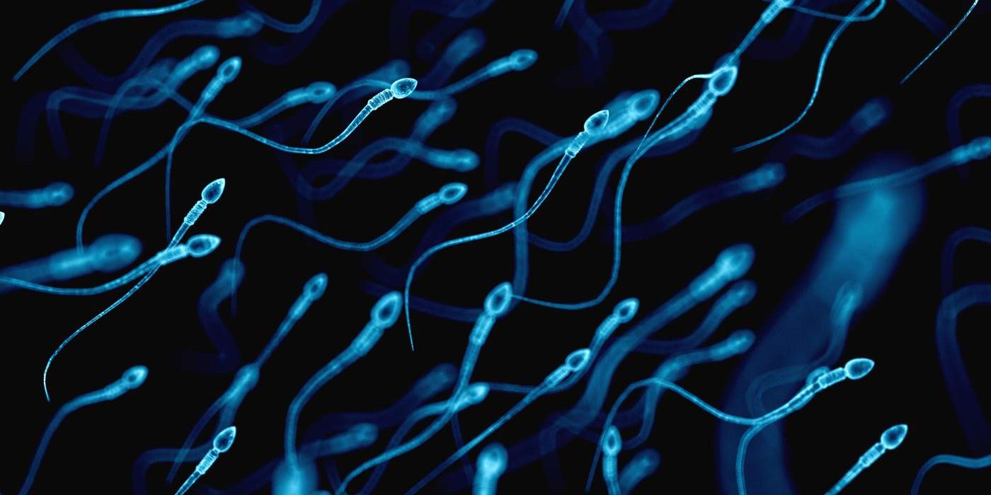 Male Infertility - Wilcox Fertility in Pasadena, CA