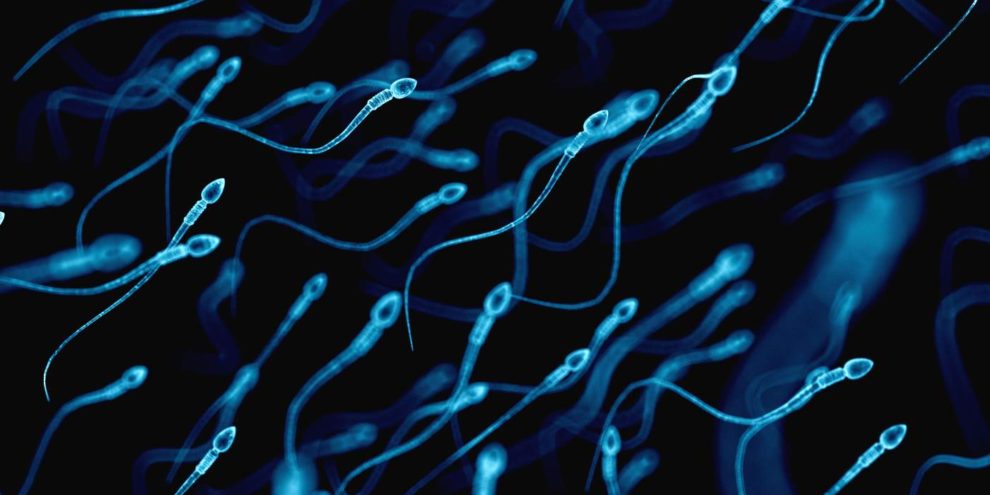Male Infertility - Wilcox Fertility in Pasadena, CA