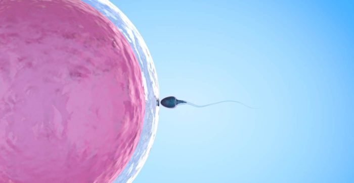 sperm-egg-1400X725