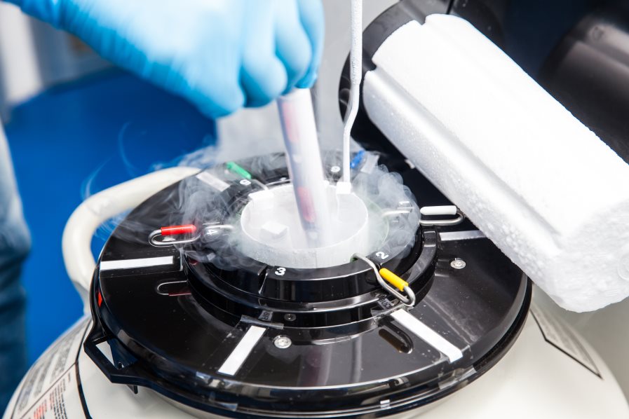 The Benefits of Embryo Freezing Wilcox Fertility Pasadena Fertility