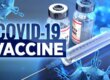 The Covid-19 Vaccine and its impact on IVF treatments and pregnancy